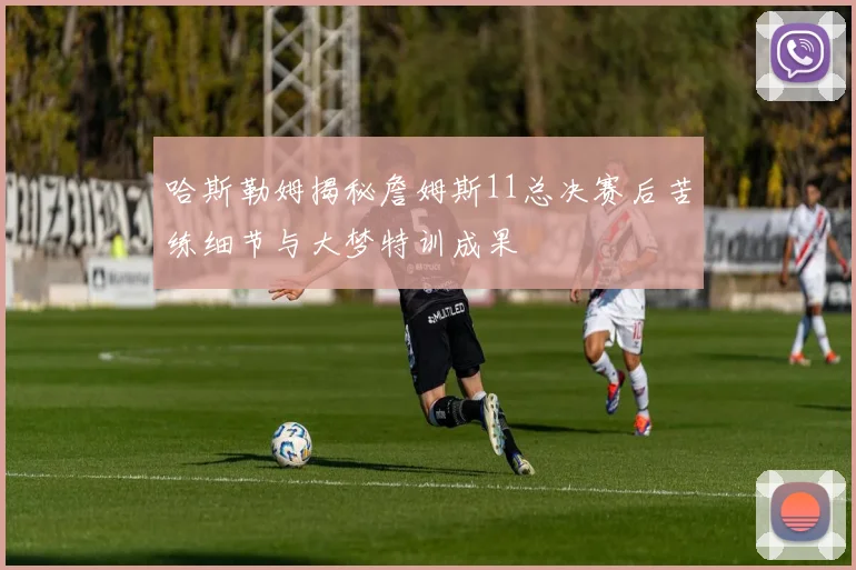 哈斯勒姆揭秘詹姆斯11总决赛后苦练细节与大梦特训成果