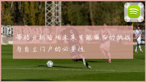 蒂格分析哈珀未来可能面临的挑战与自立门户的必要性